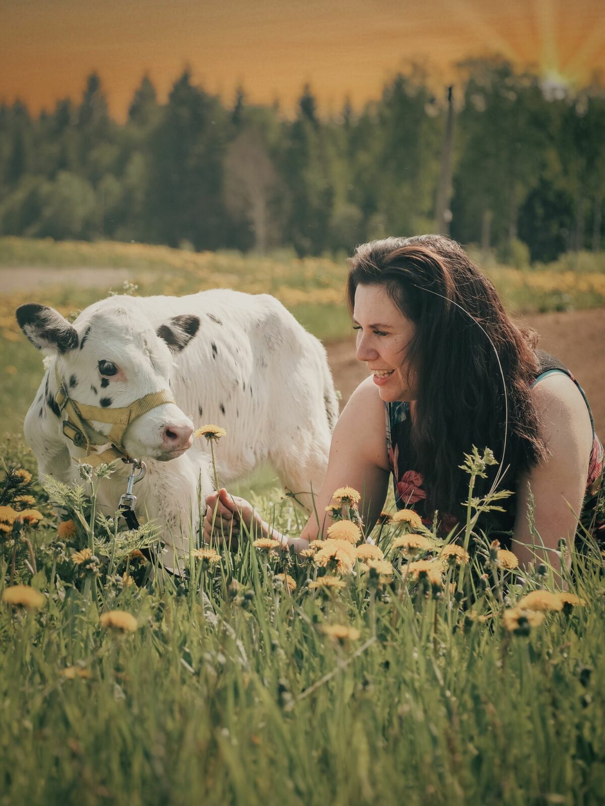 Lapin maaseutugaalassa palkittiin pitkästä urasta ja myönteisestä maaseudun arjen kuvauksesta